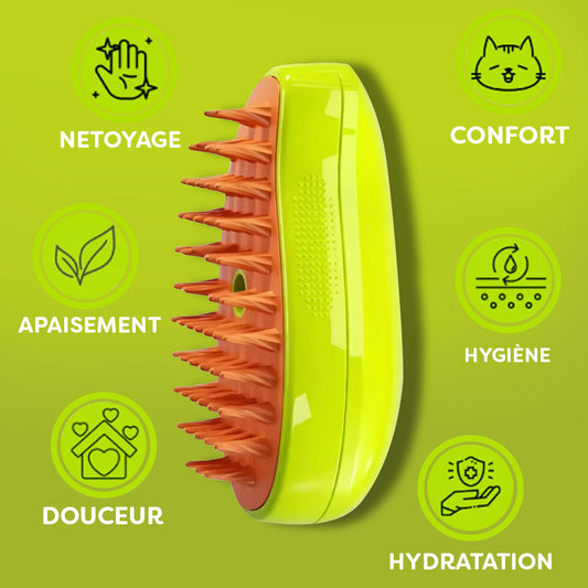 Brosse à vapeur rechargeable Cleaniz™